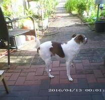 Ostfriesland wohnen - 380,00 EUR Kaltmiete, in Peine (PLZ: 31228) Peine Kernstadt