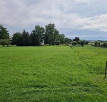 Preissenkung: Bauland in Döhren 21 km vor Wolfsburg für 65,- €m² - Oebisfelde-Weferlingen