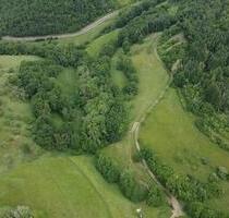 GrünlandWald in Rehborn (2,6ha - Komplett eingezäunt) - Bad Kreuznach Bad Münster am Stein-Ebernburg