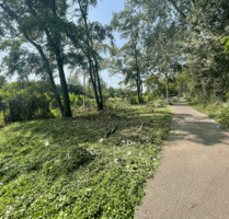 Grundstück für Hundeplatz in Bonn-Tannenbusch