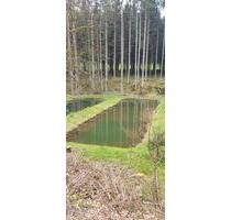 4 Teiche Weiher Fischzucht - 840,00 EUR Kaltmiete, ca.  0,00 m² in Holzhausen an der Haide (PLZ: 56357)