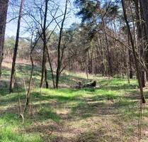 Eigentumsland: Wald+Wiese - 2.630,00 EUR Kaltmiete, ca.  0,00 m² in Beeskow (PLZ: 15848)