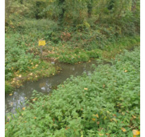 Forst Waldgrundstück in HS Kempen & Hückelhoven Ratheim - Heinsberg