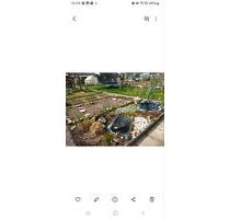 wunderschöner Garten - 800,00 EUR Kaltmiete, ca.  0,00 m² in Bautzen (PLZ: 02625)