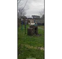 Frisch renovierte 5-Zimmer-Wohnung in Horn zu vermieten - Horn-Bad Meinberg