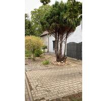 Doppelhaushälfte Provision frei - Küstriner Vorland