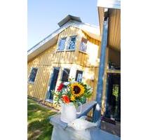 Ferienhaus Wildgans plus am See Ferienpark Mirow Granzow