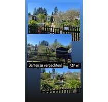 Kleingarten zu verpachten - 600,00 EUR Kaltmiete, ca.  0,00 m² in Lugau/Erzgebirge (PLZ: 09385)