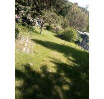 Pachtgarten - 500,00 EUR Kaltmiete, ca.  0,00 m² in Ellefeld (PLZ: 08236)