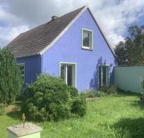 Naturnahes, ökologisch saniertes Bauernhaus 7.000qm nahe Usedom - Murchin