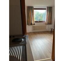 Ruhige 1-Zimmer Wohnung in Dettingen Erms zu vermieten - Dettingen an der Erms