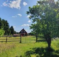 Modern und neuwertig * EFH mit Wärmepumpe * Optional 1,1ha Grünland - Dömitz Heidhof