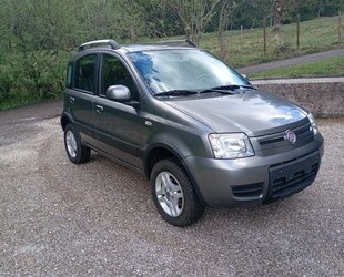 Fiat Panda 4x4 Gebrauchtwagen