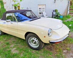 Alfa Romeo Alfa Spider Gebrauchtwagen