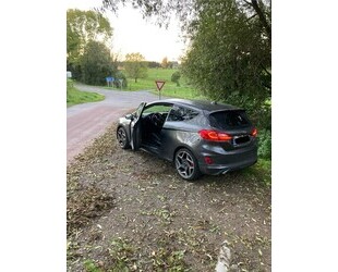 Ford Fiesta ST Gebrauchtwagen
