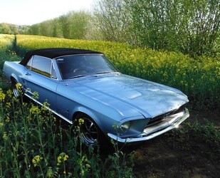 Ford Mustang Gebrauchtwagen