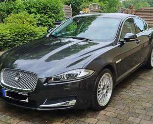 Jaguar XF Gebrauchtwagen