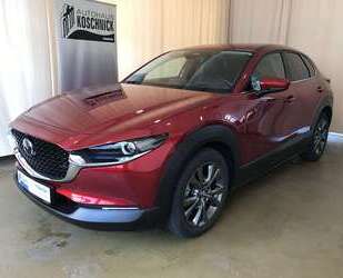 Mazda CX-30 Gebrauchtwagen