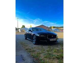 Jaguar XE Gebrauchtwagen