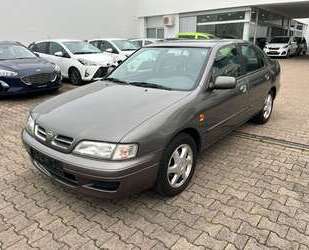 Nissan Primera Gebrauchtwagen