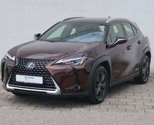 Lexus UX 250h Gebrauchtwagen