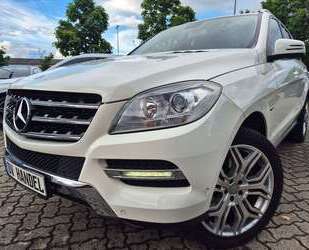 Mercedes-Benz ML 350 Gebrauchtwagen