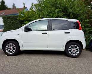 Fiat Panda Gebrauchtwagen