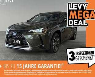 Lexus UX 250h Gebrauchtwagen