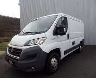 Fiat Ducato Gebrauchtwagen