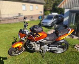 Honda CB 600 Gebrauchtwagen