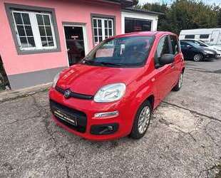 Fiat Panda Gebrauchtwagen