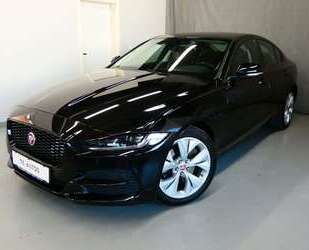 Jaguar XE Gebrauchtwagen