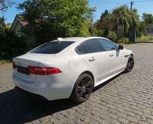 Jaguar XE Gebrauchtwagen