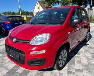 Fiat Panda Gebrauchtwagen