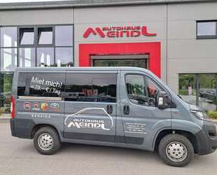 Fiat Ducato Gebrauchtwagen
