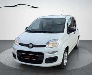 Fiat Panda Gebrauchtwagen