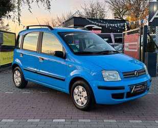Fiat Panda Gebrauchtwagen