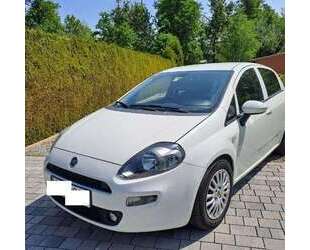 Fiat Punto Gebrauchtwagen