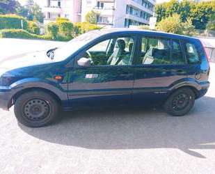 Ford Fusion Gebrauchtwagen