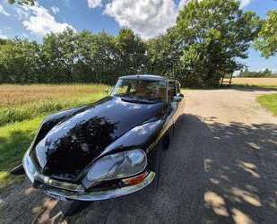 Citroen DS Gebrauchtwagen