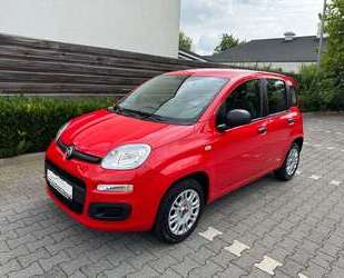 Fiat Panda Gebrauchtwagen