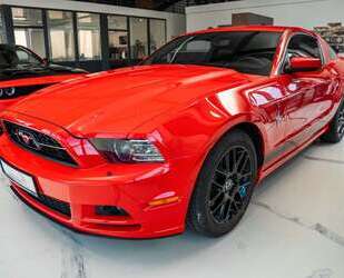 Ford Mustang Gebrauchtwagen