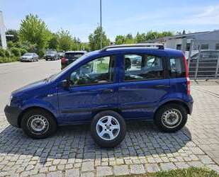 Fiat Panda Gebrauchtwagen