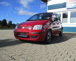 Fiat Panda Gebrauchtwagen