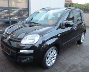 Fiat Panda Gebrauchtwagen