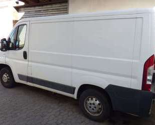 Fiat Ducato Gebrauchtwagen