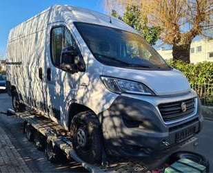 Fiat Ducato Gebrauchtwagen