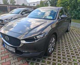 Mazda CX-30 Gebrauchtwagen