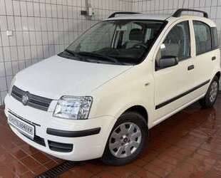 Fiat Panda Gebrauchtwagen