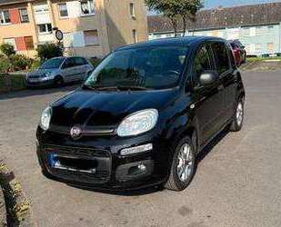 Fiat New Panda Gebrauchtwagen